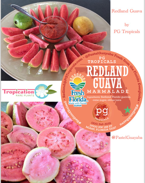 Redland Guava Marmalade