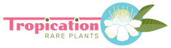 Tropication Rare Plants