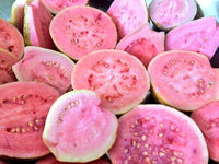 Psidium guajava, tropical pink guava